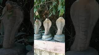 Vetticode Sree Nagarajaswami Temple