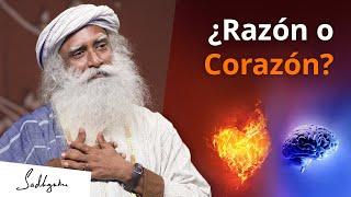 ¿Razón o Corazón a cuál escuchar?  Sadhguru