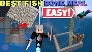 Best Fish Bone Meal Farm  simple automatic bone meal farm 1.19 - 1.20 minecraft pocket edition