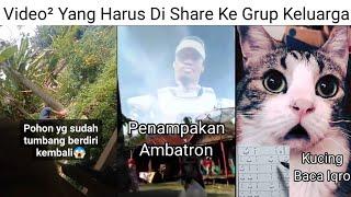 Video Yang Harus Di Share Ke Grup Keluarga