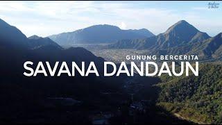 CAMPING DI SAVANA DANDAUN