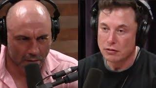 Joe Rogan - What Keeps Elon Musk Up at Night?