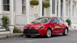 2020 Toyota Corolla LE  Interior  Exterior and Test Drive