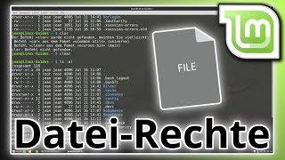 Datei-Rechte in Linux ändern und verwalten Terminal