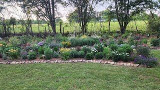 Check out whats blooming in my mid-May zone 8a garden.  Beautiful colors and textures.