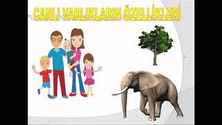 3. Sınıf Fen Bilimleri Canlı ve Cansız Varlıkların Özellikleri