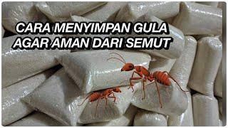 Cara Menyimpan Gula Agar Aman dari Semut