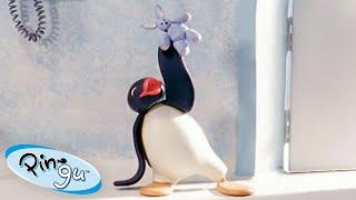 Pingas Lost Rabbit   Pingu - Official Channel  Cartoons For Kids