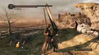 Dark Souls 2 Power-Stance with greatswords.