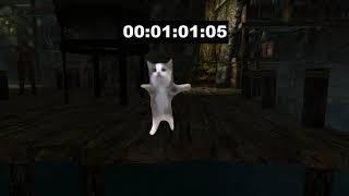 SKYRIM SPEEDRUN skooma any% Chipi Chipi edition #speedrun #cat #funny #music #games #viral