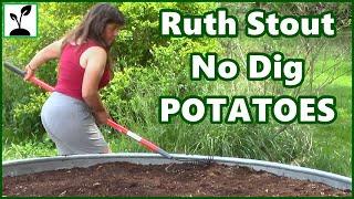 How To Plant No Dig Potatoes  Ruth Stout Straw Method