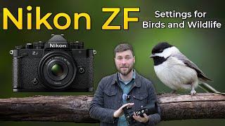 Nikon ZF - Settings for Wildlife and Bird Photography