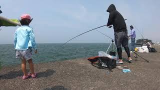 Kago tsuriBasket fishing with float Part 2