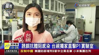 誘餌抗體阻感染 台視獨家直擊P1實驗室