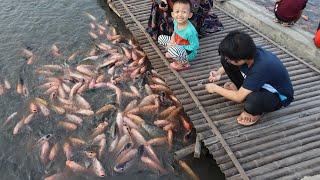 Gavin Beri Makan Ikan - Gavin Nangis Kejer Kakinya Masuk Lumpur - Jalan Jalan Seru DMG Kids Family