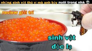 Thí Nghiệm lên chú Chuột Bạch Cực Kì Thú Vị của Anh Bảy  review giải trí đời sống