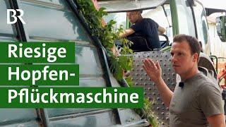 Landwirt und Tüftler erfindet große Maschine zur schonenden Ernte von Hopfen  Unser Land  BR