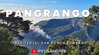 Pendakian Gunung Pangrango via Cibodas  Estimasi Waktu  Semua yang Perlu Anda Ketahui  FULL