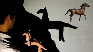 Make A Horse By Hand Shadow