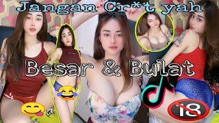 pemersatu bangsa  JESSICAINTAN besar bulat