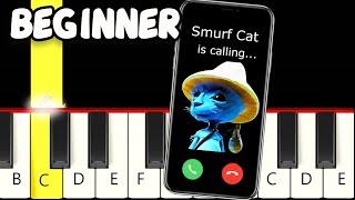 Smurf Cat is Calling you - Fast and Slow Easy Piano Tutorial - Beginner