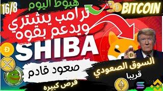 بيتكوين Bitcoin احذر هبوط اليوم بعده صعود مباشر-ترامب يمتلك ثروه من العملات   #btc