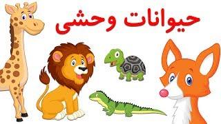 Wild Animals in FarsiPersian  حیوانات وحشی به زبان فارسی