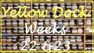 WEEK 22 & 23 HEARTBURN CONSTIPATION and my miracle cure Yellow Dock Tea BUMPDATE First Child IVF S