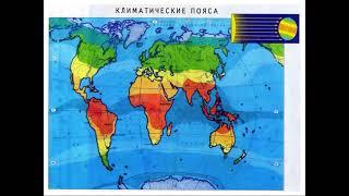 Распространение организмов на Земле  Природные зоны