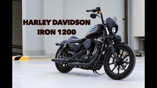 YOU CANT GO WRONG 2020 Harley Davidson Iron 1200 **First Ride**