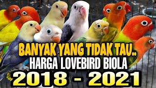 Opaline Lovebird Price 2018 to 2021 - opaline lovebirds heyday