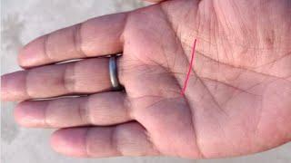 राहु रेखा का शानदार फलादेश मिलेगा  ।।।। Palmistry Astrology in Hindi