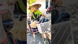 Street Food #shorts #viral #trending