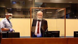 Deflated Mladic fronts UN court for genocide appeal