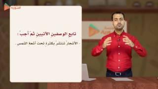 19 - نص وصفي - الصف الثامن- المدرسة السورية