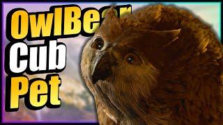 Baldurs Gate 3 How to Get the OwlBear Cub - FAST & EASY