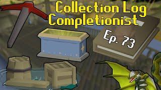 Collection Log Completionist #73