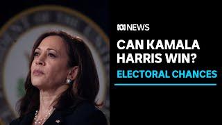 Can Kamala Harris win the US election?  ABC News