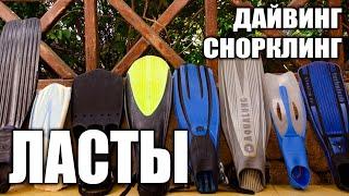 Выбор ласт для снорклинга и дайвинга