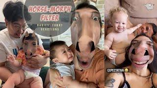 PARENTS TRYING VIRAL HORSE FILTER ON BABIES  FUNNY BABY REACTIONS  COMPILATION VIDEO