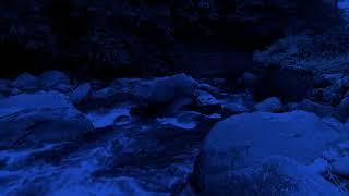 Night Forest Ambiance - Sleep Meditation with Dark Screen #150