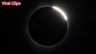 solar eclipse 2024 viral clips