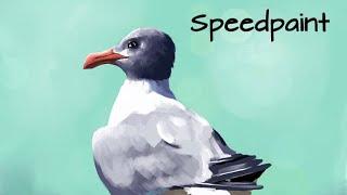 Speedpaint drippy Gull