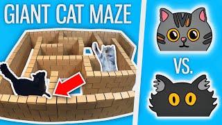 Ralph Vs. Bella - GIANT Cat Maze