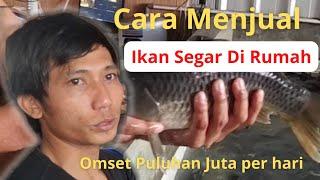 Cara Menjual Ikan Segar.  Ikan masnila lele di pangkalan ikan Ciganjur. Omset 15 ton per hari