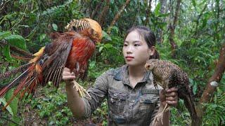 Detect traces of rare forest birds set traps to catch them survival alone