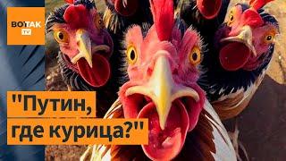 В России исчезают продукты. Рост цен на продовольствие  Новости России