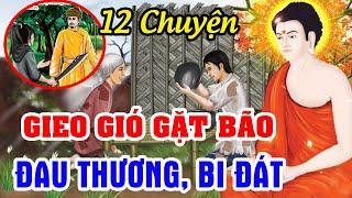 12 Chuyện Gieo Gió Gặt Bão ĐAU THƯƠNG BI ĐÁT Báo Ứng Đáng Sợ  Chuyện Nhân Quả Báo Ứng Hiện Đời