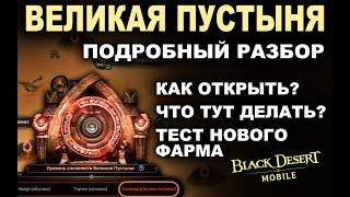 BDM ВЕЛИКАЯ ПУСТЫНЯ после реворка. Подробный гайд и тесты фарм монет в Black Desert Mobile БДМ