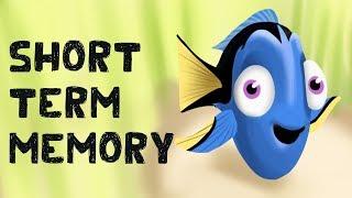 Short Term Memory Free Test + Examples